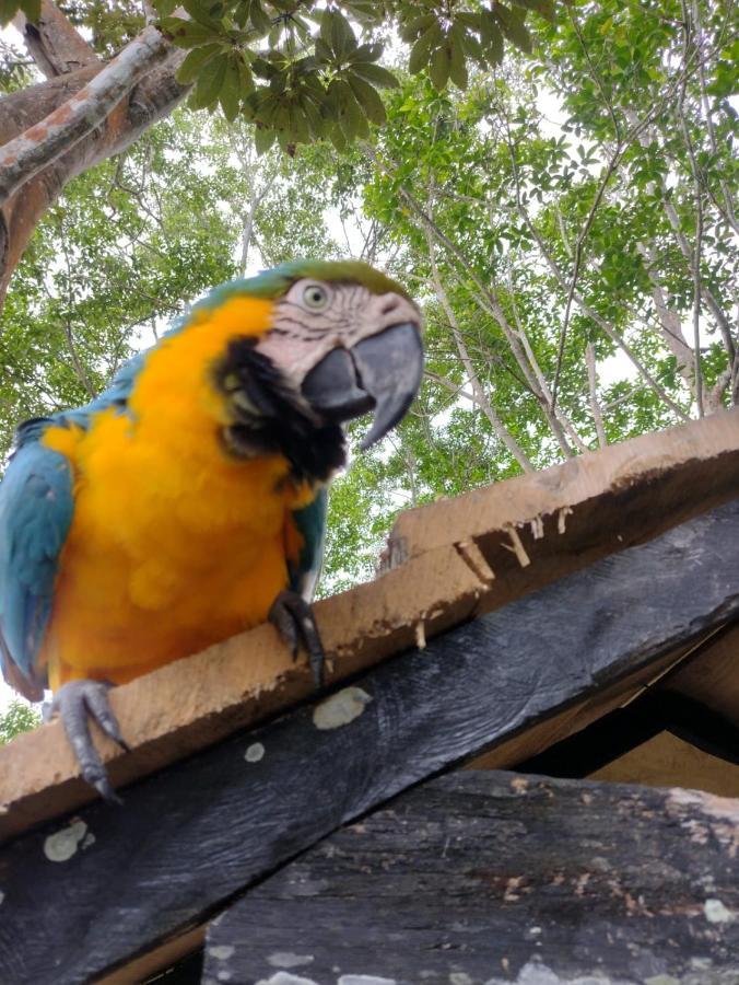 Hotel Alto Amazonas Leticia Zewnętrze zdjęcie