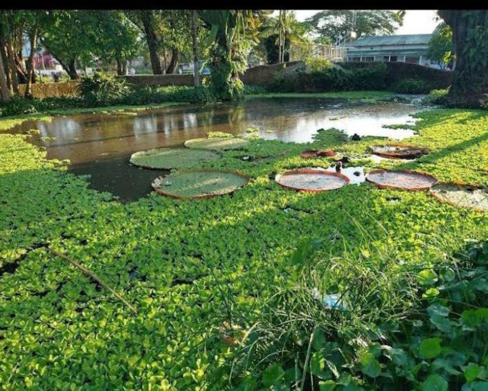 Hotel Alto Amazonas Leticia Zewnętrze zdjęcie